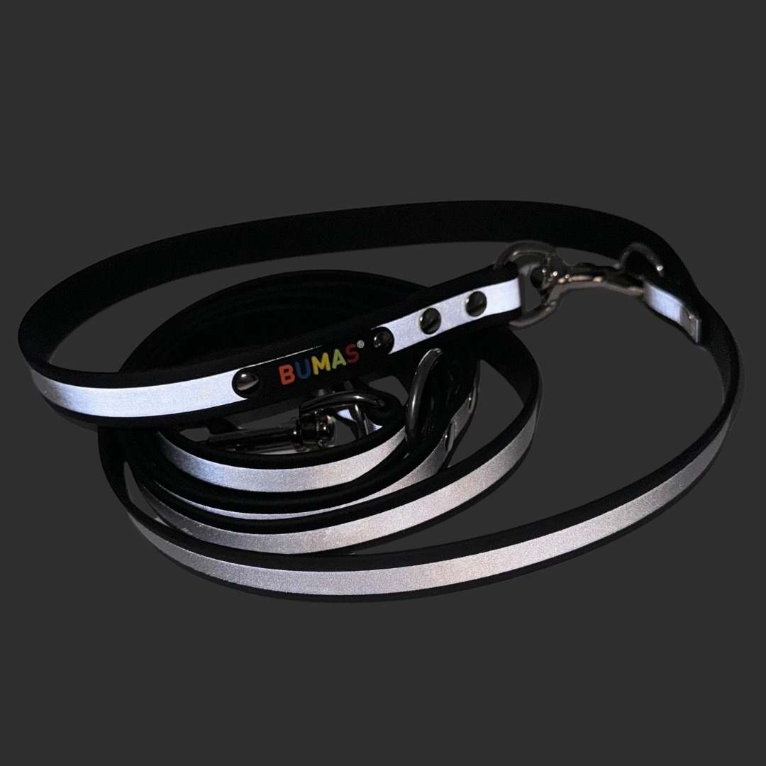 BUMAS reflective Biothane Dogleash