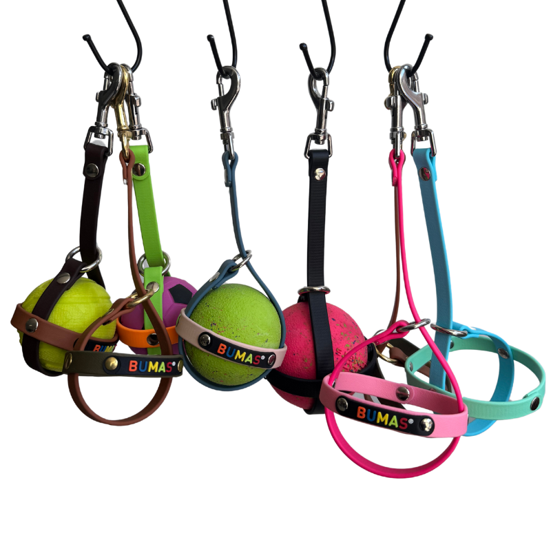 BUMAS Ballhalter aus Biothane®
