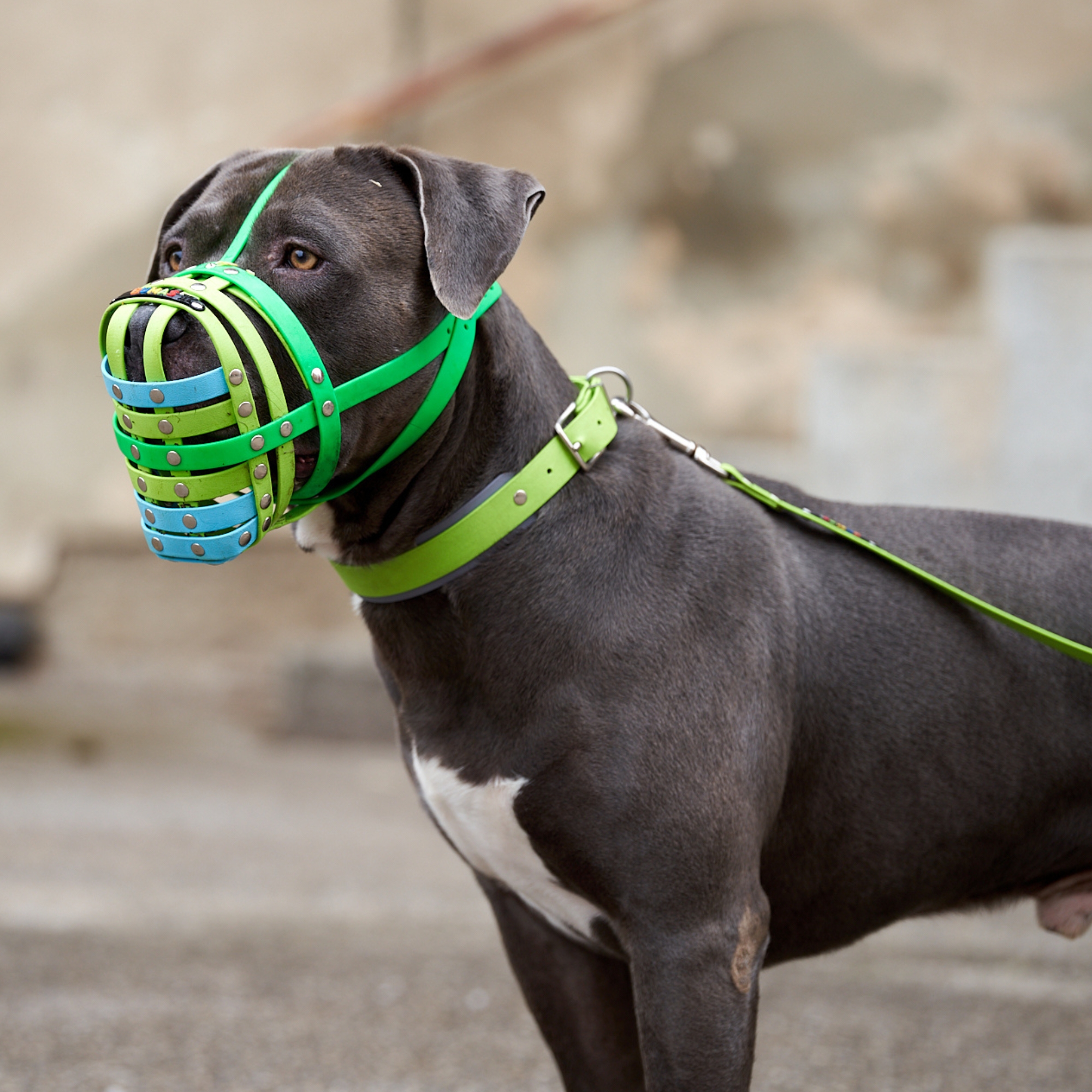 BUMAS Biothane® Leash with hand loop reflective