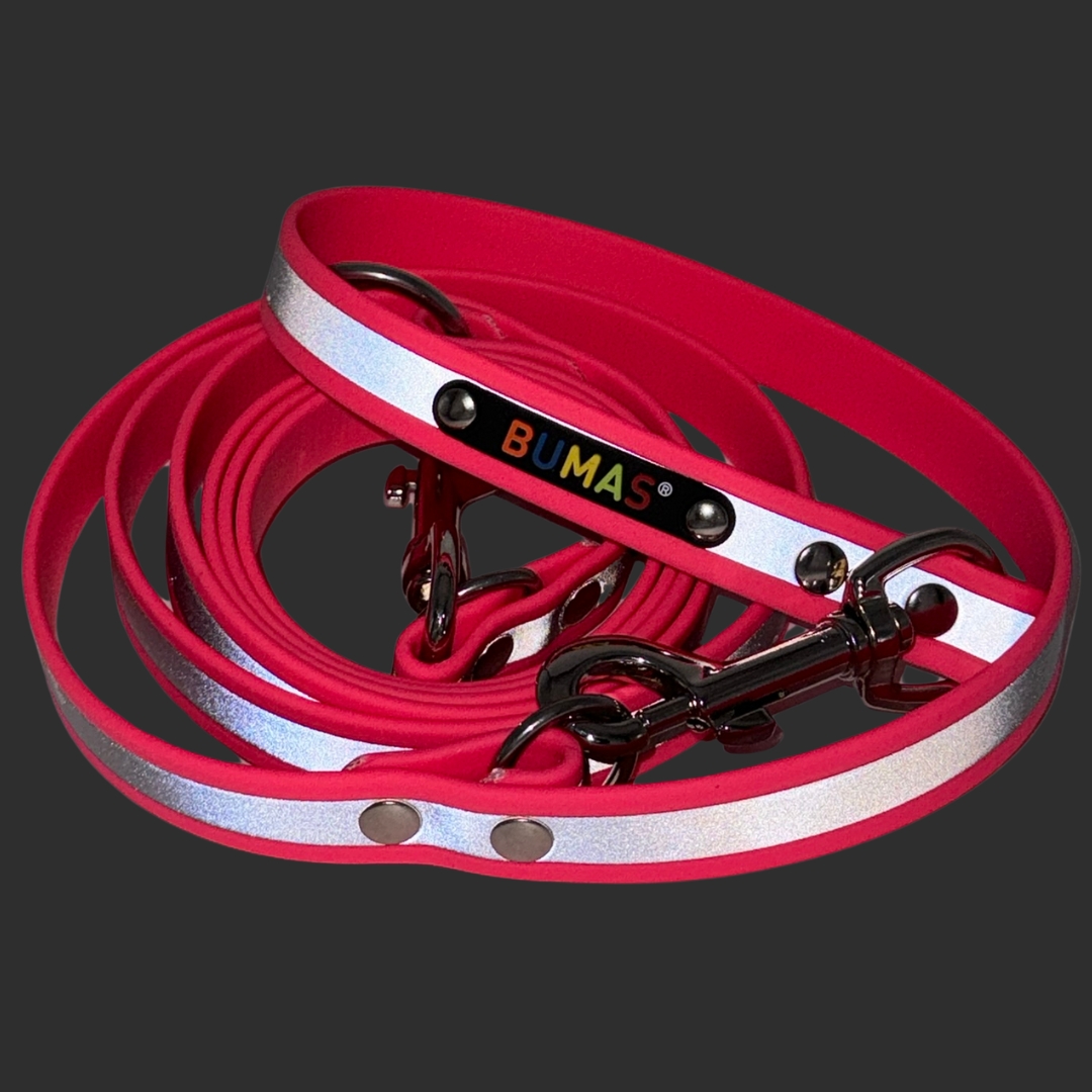 BUMAS reflective Biothane Dogleash