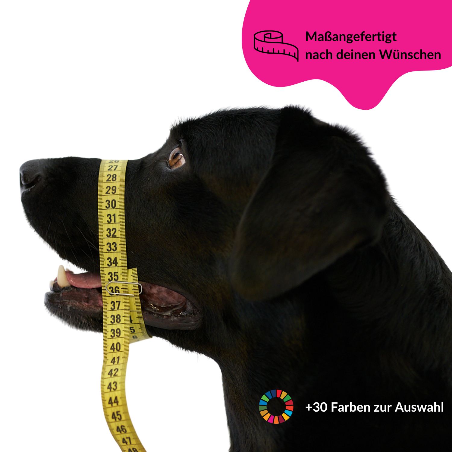 BUMAS Biothane® Maulkorb nach Maß BUMAS Biothane® Maulkorb nach Maß